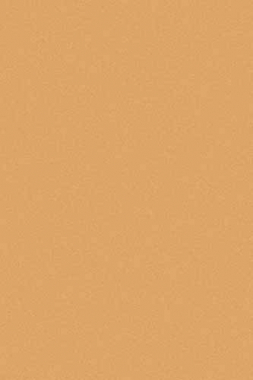 COMFORT SHAGGY - s600 - DARK BEIGE