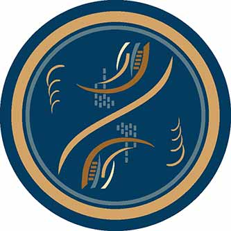 DA VINCI - a027 - NAVY