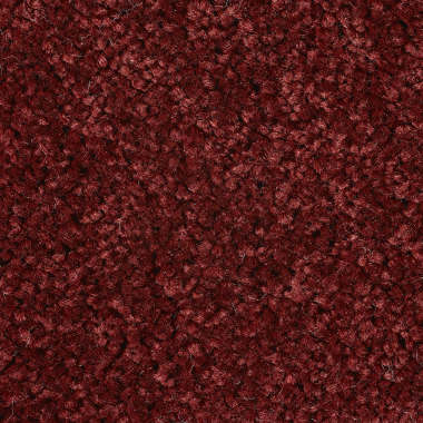 Echo - Echo - 445