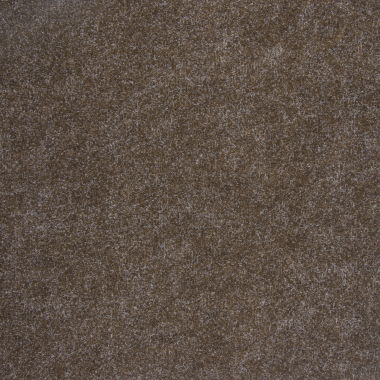 Gent - 0300 - BRUIN