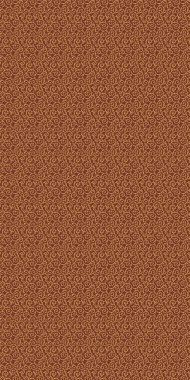 LAGUNA - CS03 - BROWN