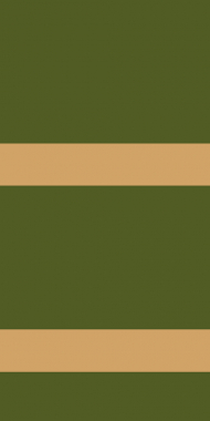 OLYMPOS - AHM1 - GREEN-BEIGE