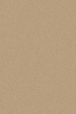 PLATINUM - t600 - BEIGE DARK BEIGE