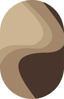 PLATINUM - t616 - BEIGE-BROWN