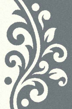 PLATINUM - t621 - BLUE-NATURAL
