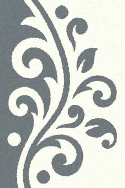 PLATINUM - t621 - NATURAL-BLUE
