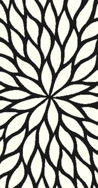 PLATINUM - ts11 - NATURAL-BLACK
