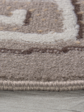 PRAGA - 06027A - BEIGE / DARK VIZON