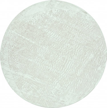 RABBIT - PX2000 - L.BEIGE