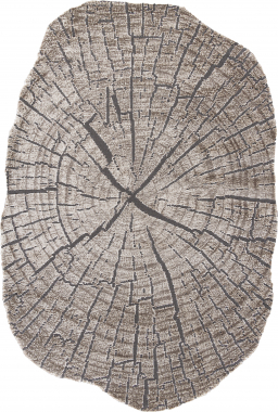 SAFIR - H01667 - A.KAHVE / A.KAHVE