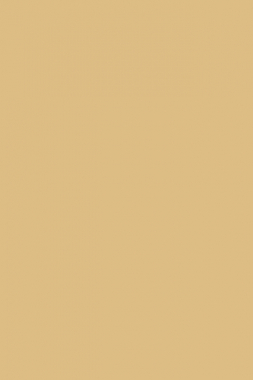 SHAGGY ULTRA - s600 - BEIGE 2