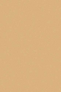 SHAGGY ULTRA - s600 - BEIGE DARK BEIGE