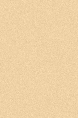 SHAGGY ULTRA - s600 - CREAM-D.BEIGE