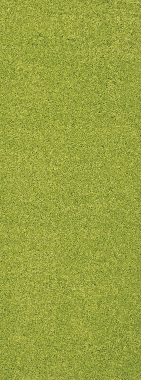 SHAGGY ULTRA - s600 - GREEN