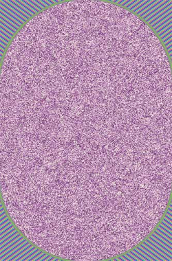 SHAGGY ULTRA - s600 - LILAC-MULTICOLOR