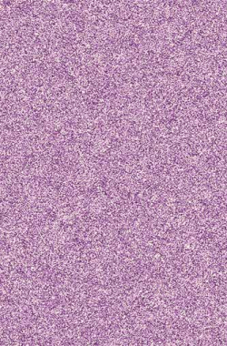 SHAGGY ULTRA - s600 - LILAC-MULTICOLOR