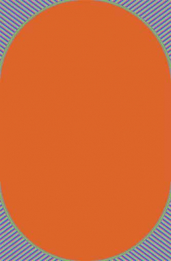 SHAGGY ULTRA - s600 - ORANGE