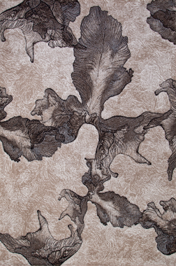 SIERRA - D711 - BEIGE-BROWN 2