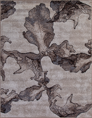 SIERRA - D711 - BEIGE-BROWN
