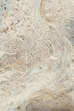 SIERRA - SR06 - BEIGE-BROWN