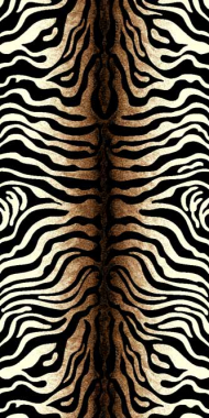 SUNRISE 2 - d053 - BLACK-CREAM