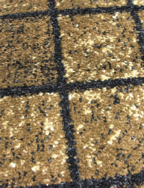 SUNRISE 2 - D448 - BEIGE-BROWN
