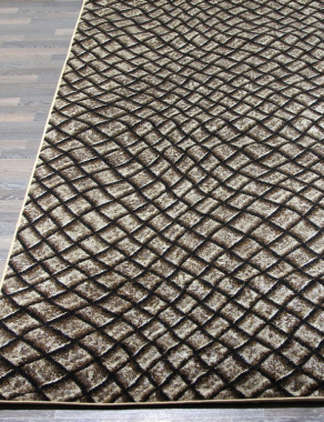 SUNRISE 2 - D452 - GRAY-BROWN