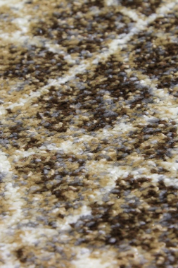 SUNRISE 2 - D461 - GRAY-BEIGE