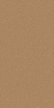 SUNRISE 2 - P000 - MUSTARD-BEIGE