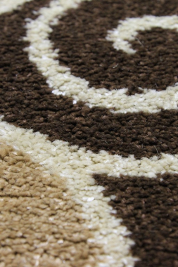 SUNRISE 2 - V865 - BROWN