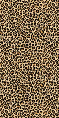 VALENCIA - d108 - BEIGE