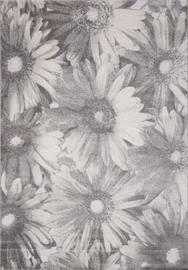 Valentino - M008A - D.GREY SHRINK / D.GREY