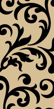 VISION DELUXE - d129 - BEIGE-BLACK