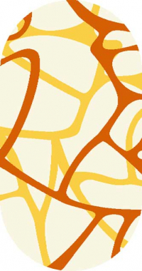 VISION DELUXE - v808 - CREAM-ORANGE
