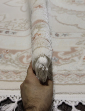 07928A - PINK / PINK