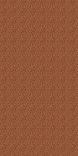 CS03 - BROWN