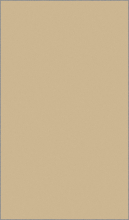 t600 - BEIGE