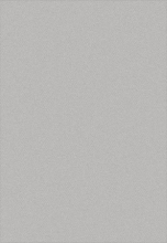 S161 - LIGHT GRAY
