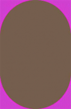 t600 - BEIGE DARK BROWN