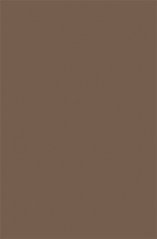 t600 - BEIGE DARK BROWN