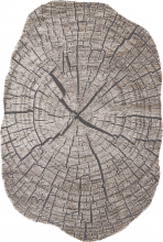 H01667 - A.KAHVE / A.KAHVE