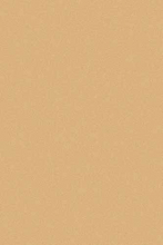 s600 - BEIGE DARK BEIGE