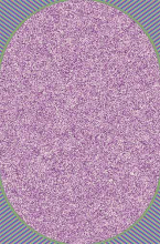 s600 - LILAC-MULTICOLOR