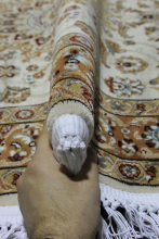 2.5*4.0 - Россия