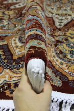 2.0*3.0 - Россия