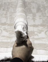 08330B - BEIGE / BEIGE