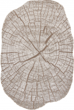 SAFIR - 00839A - BROWN / BROWN