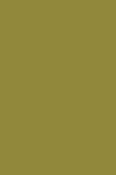 SHAGGY ULTRA - s600 - LIGHT GREEN 2