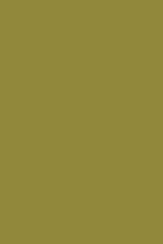 SHAGGY ULTRA - s600 - LIGHT GREEN 2
