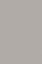 SILVER - P000 - GRAY
